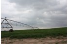 Property photo 38 - LAND AUCTION, 3255+/- Acres offered in 13 Tracts